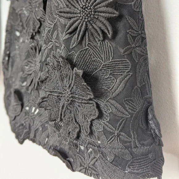 Fashion Nova Denise Sheer Mesh Flower Embroidered Hi-Rise Flare Pants Black sz L - Picture 7 of 17